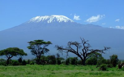 6 Days Kilimanjaro Trekking Rongai Route