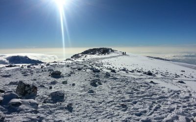 7 Days Kilimanjaro Trekking Machame Route